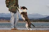 NE PAS SAUTER